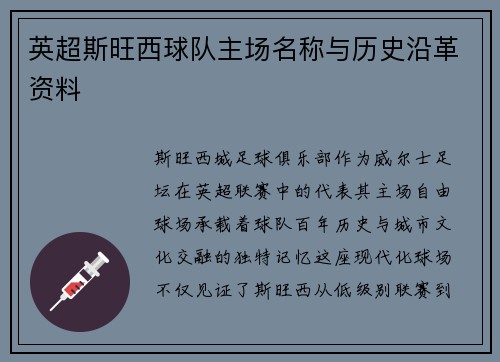 英超斯旺西球队主场名称与历史沿革资料